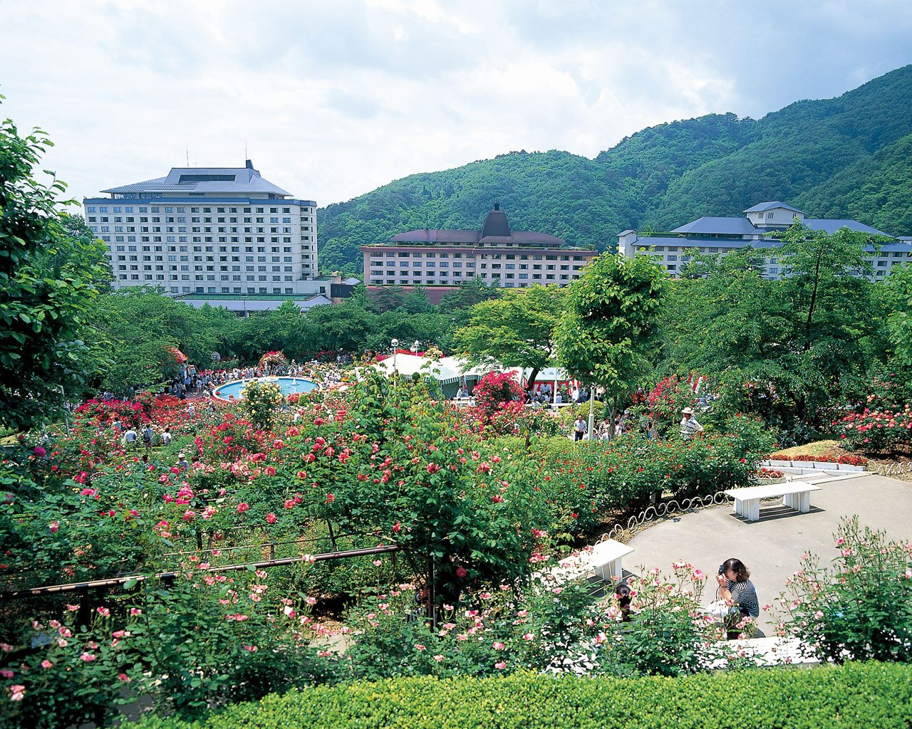 花巻温泉バラ園と花巻温泉の風景