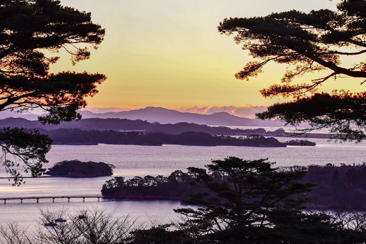 松の木越しに眺める松島湾と島々
