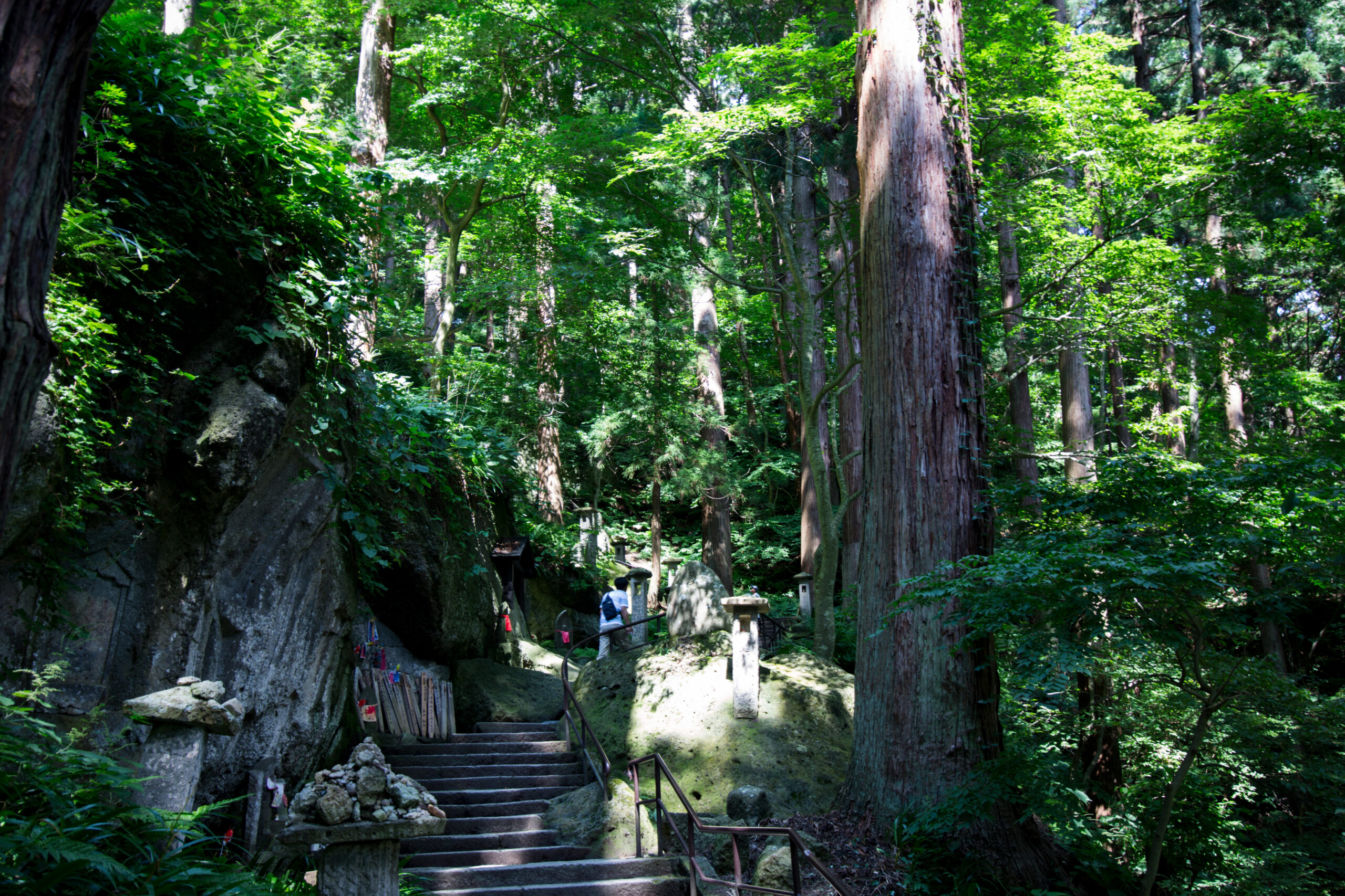 杉木立の中に続く山寺の石段